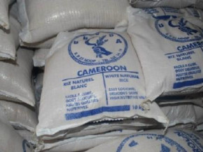 cameroon-isdb-supports-local-rice-production-with-cfa52bn