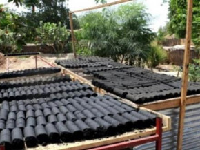 undp-empowers-maroua-women-with-eco-friendly-charcoal-production-unit