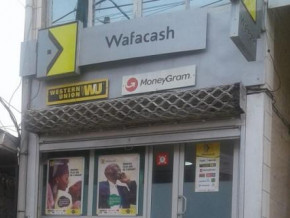 money-transfer-wafacash-targets-african-diaspora-in-europe