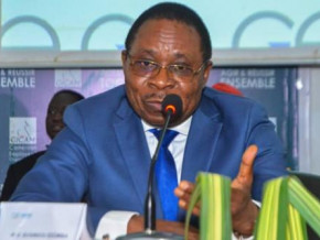 cameroon-s-minister-of-energy-asks-for-patience-over-power-cuts-until-march-2024