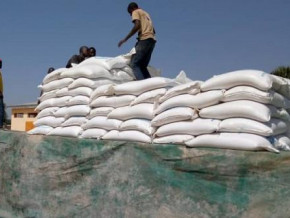 rice-production-japan-funded-proderip-faces-smuggling-challenges