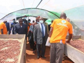 cameroon-launches-cocoa-quality-bonus-program-for-farmers-amid-market-fluctuations