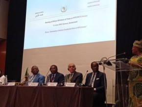cameroon-suggests-revising-international-trade-rules-to-end-hunger-in-africa